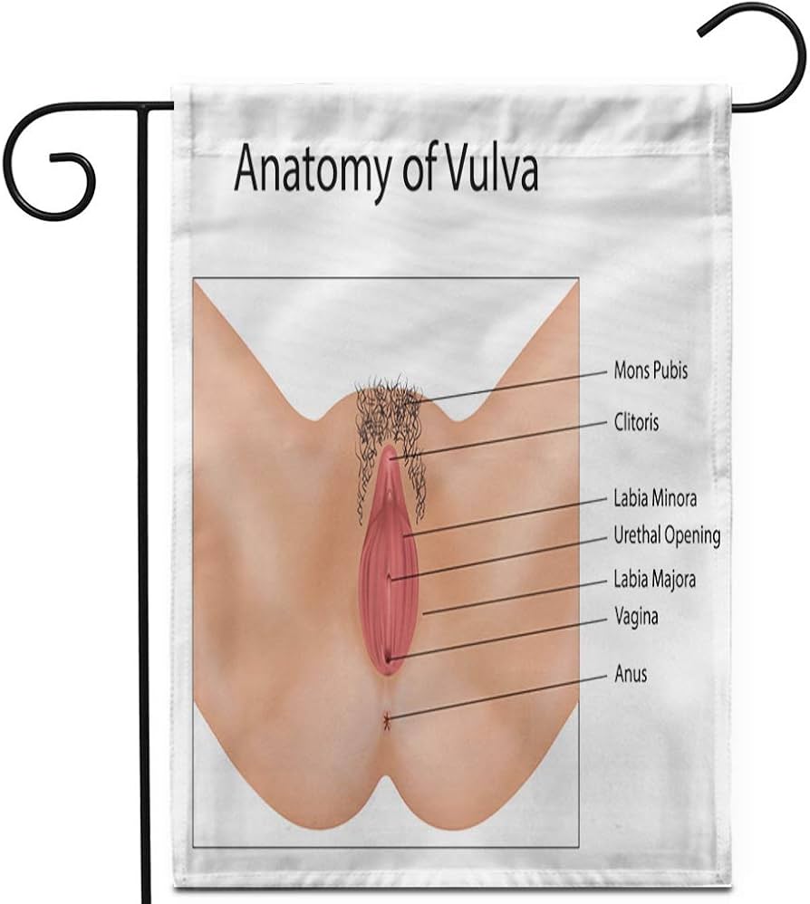 Codi daria emily ira irene irina irini porno Intim gigiena: soqol yoki epilasyon